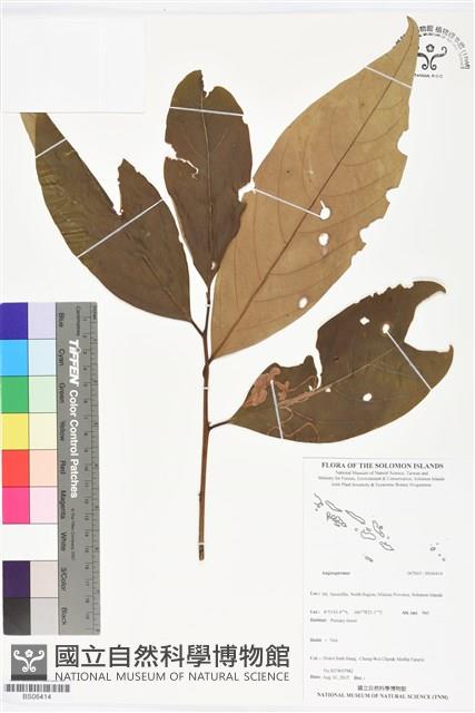 登錄號:BS06414藏品圖，第1張