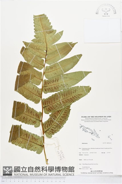 登錄號:BP02414藏品圖，第1張