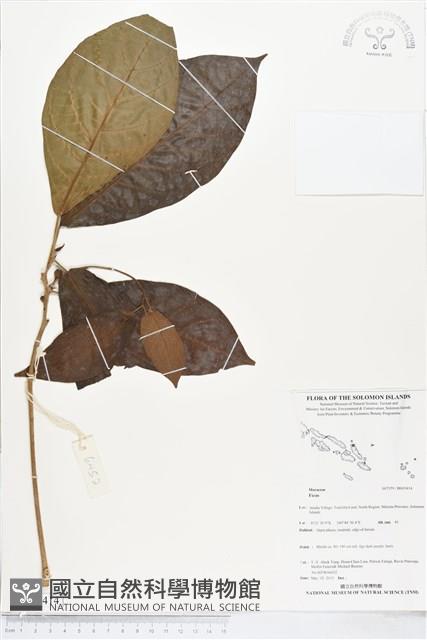 登錄號:BS05414藏品圖，第1張