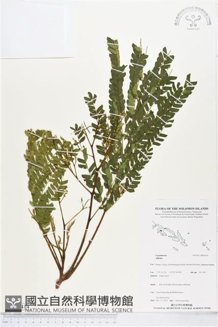 登錄號:BS04414藏品圖，第1張