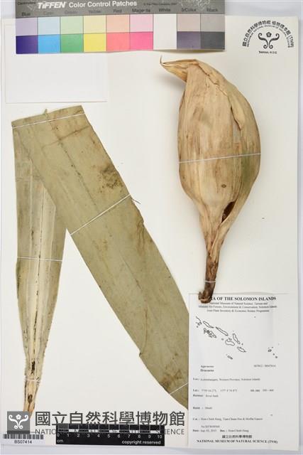 登錄號:BS07414藏品圖，第1張