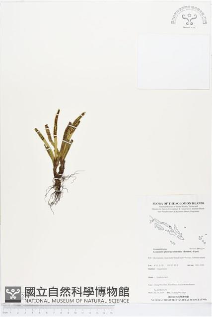 登錄號:BP02214藏品圖，第1張