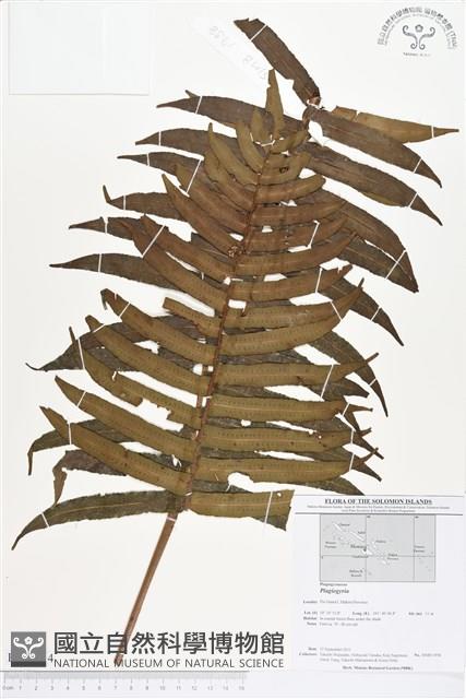 登錄號:BP00214藏品圖，第1張