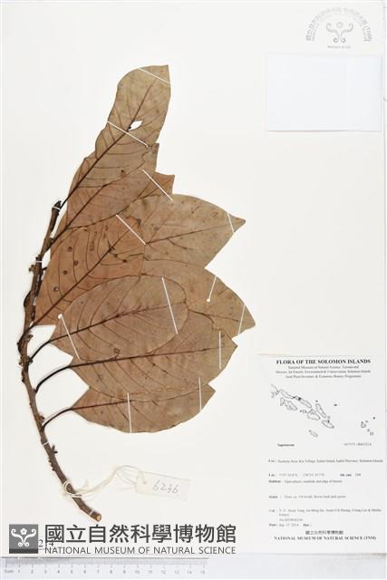 登錄號:BS05214藏品圖，第1張