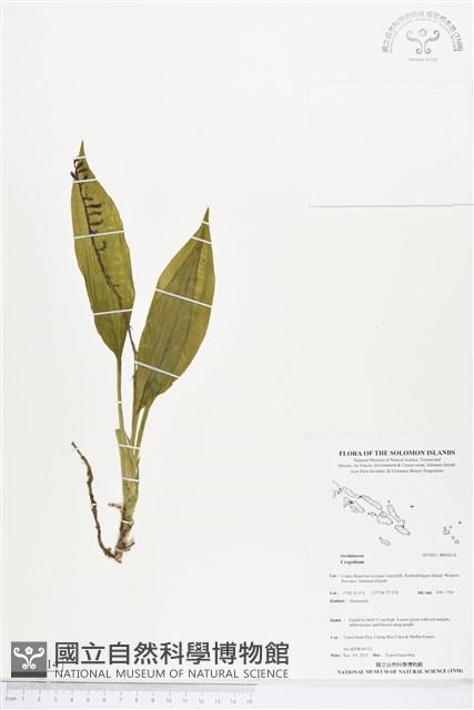 登錄號:BS04214藏品圖，第1張