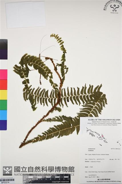 登錄號:BP03214藏品圖，第1張