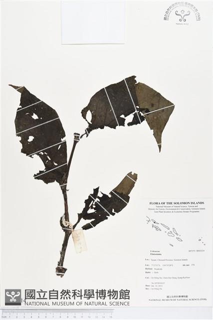 登錄號:BS03214藏品圖，第1張