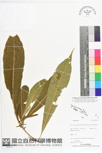 登錄號:BS07214藏品圖，第1張