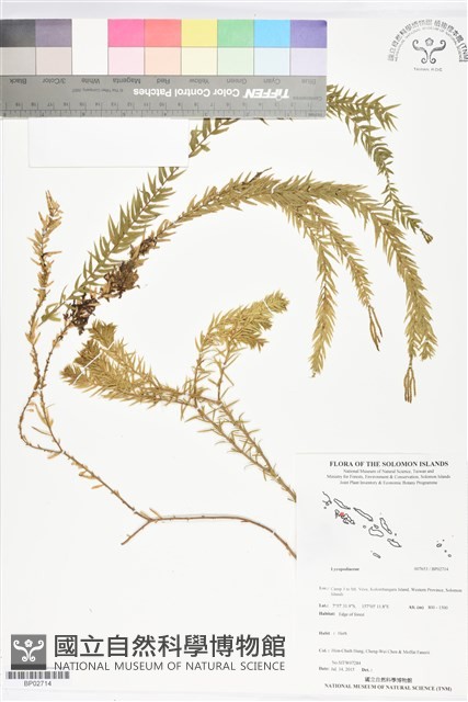 登錄號:BP02714藏品圖，第1張
