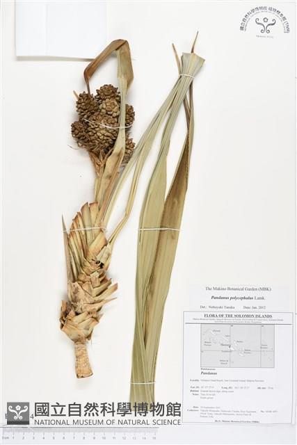 登錄號:BS01714藏品圖，第1張