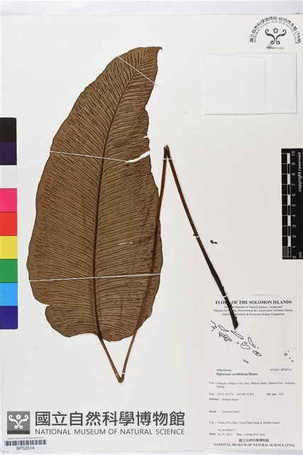 登錄號:BP02514藏品圖，第1張