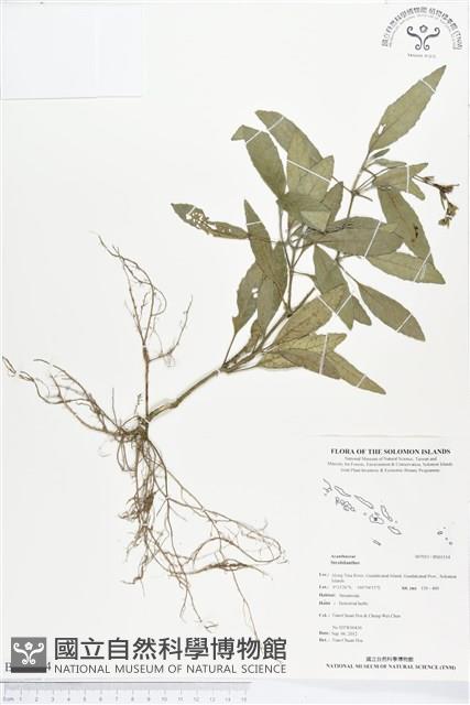 登錄號:BS01514藏品圖，第1張