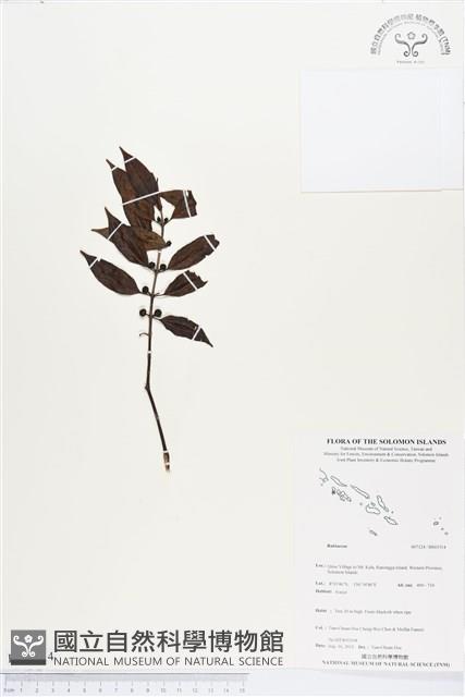 登錄號:BS03514藏品圖，第1張