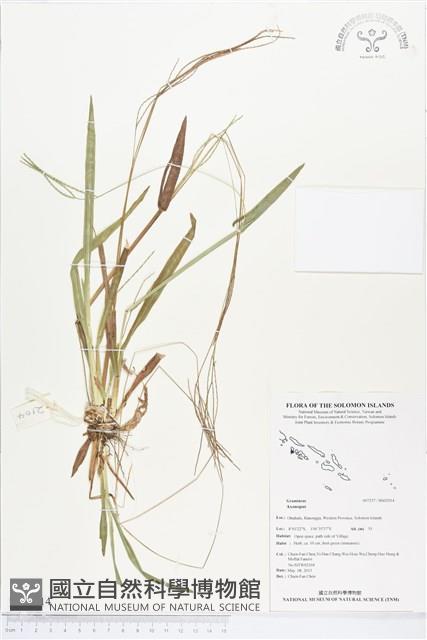 登錄號:BS02914藏品圖，第1張