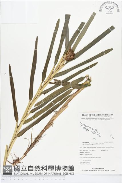 登錄號:BS01914藏品圖，第1張