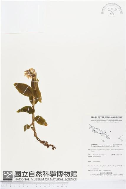 登錄號:BS03914藏品圖，第1張