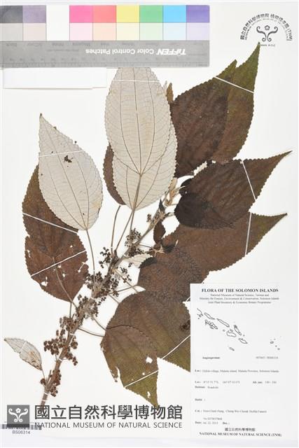 登錄號:BS06314藏品圖，第1張