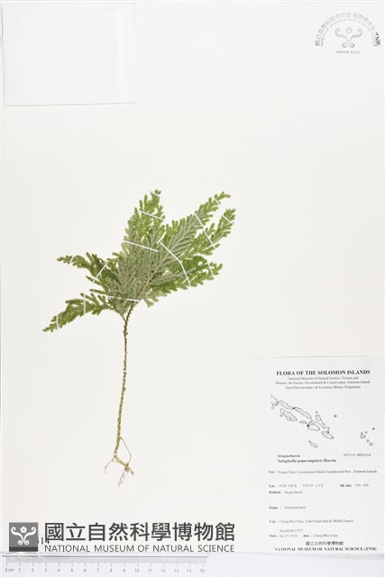 登錄號:BP02314藏品圖，第1張