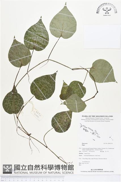 登錄號:BS02314藏品圖，第1張