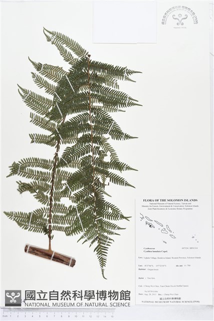 登錄號:BP01314藏品圖，第1張