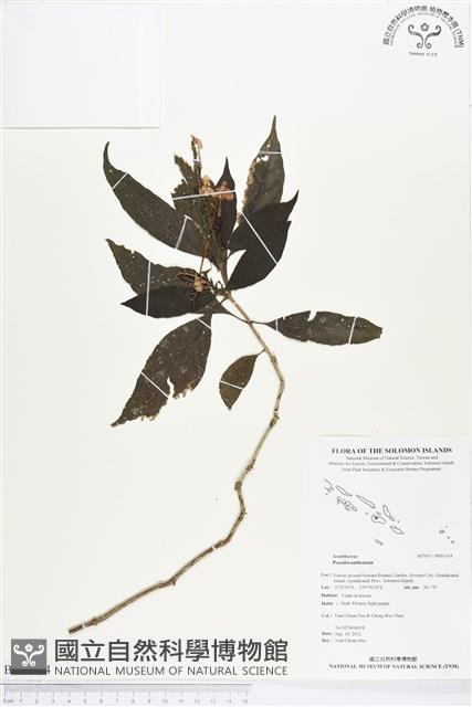 登錄號:BS01314藏品圖，第1張