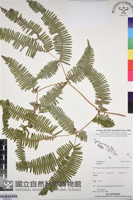 登錄號:BP03314藏品圖，第1張