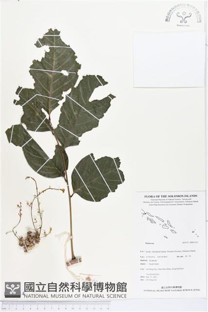 登錄號:BS03314藏品圖，第1張