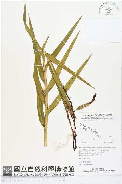 登錄號:BS02804藏品圖，第1張