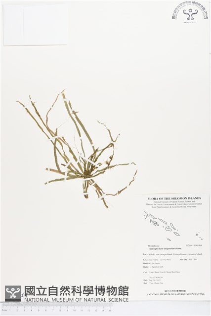 登錄號:BS01804藏品圖，第1張