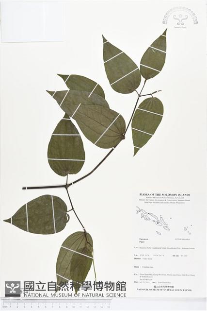 登錄號:BS04804藏品圖，第1張
