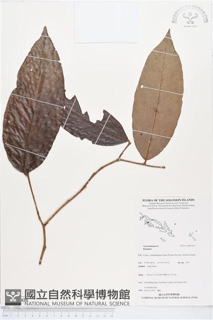 登錄號:BS05004藏品圖，第1張