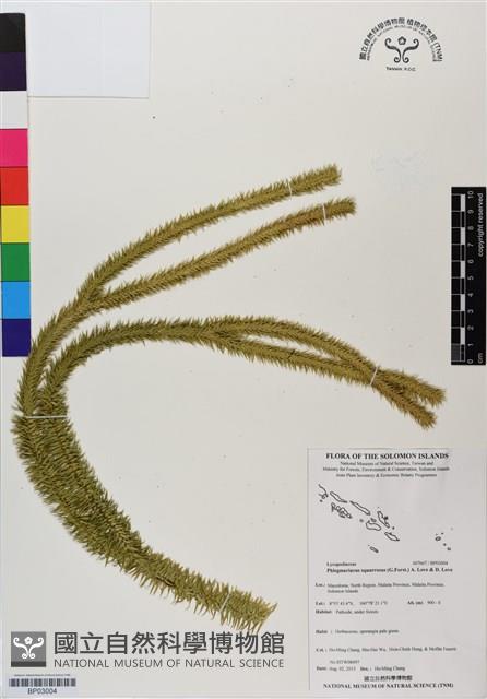 登錄號:BP03004藏品圖，第1張