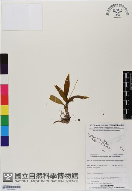 登錄號:BS07004藏品圖，第1張