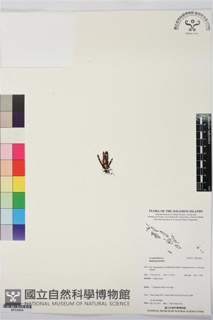 登錄號:BP03604藏品圖，第1張