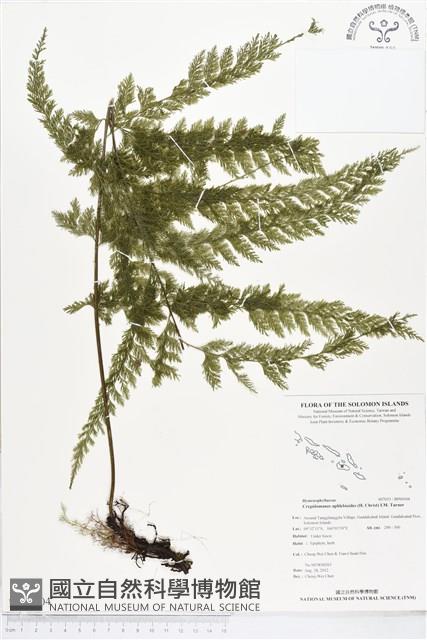 登錄號:BP00104藏品圖，第1張