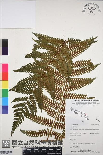 登錄號:BP03104藏品圖，第1張