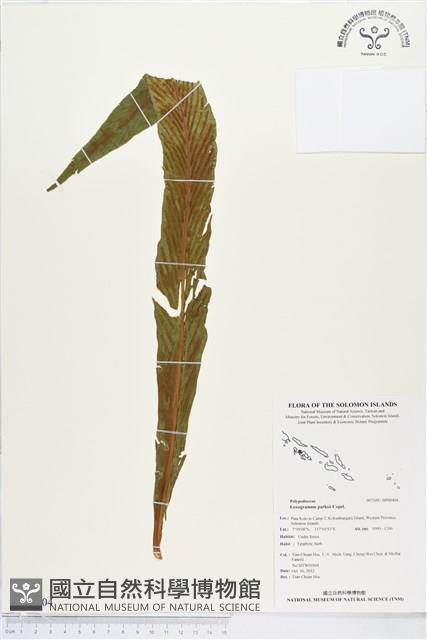 登錄號:BP00404藏品圖，第1張