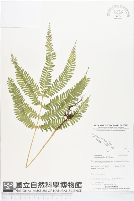 登錄號:BP01404藏品圖，第1張