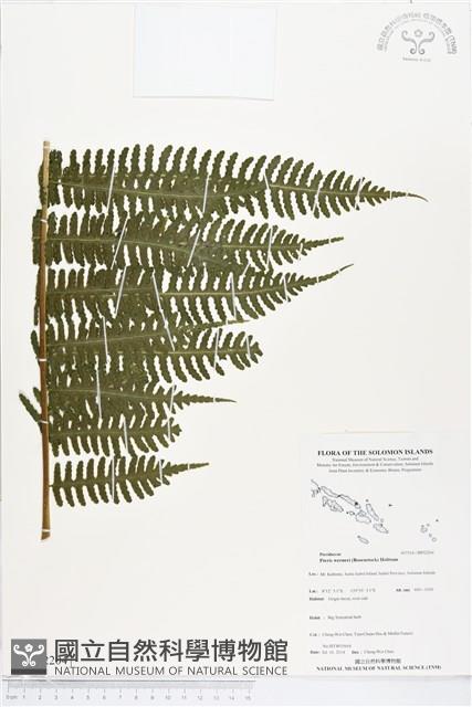 登錄號:BP02204藏品圖，第1張