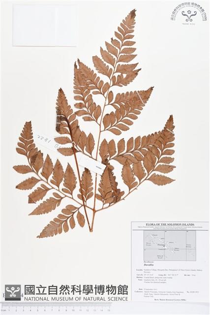 Accession Number:BP00204 Collection Image