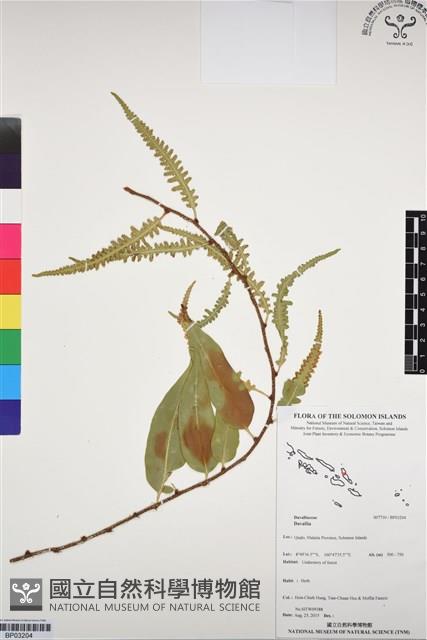 登錄號:BP03204藏品圖，第1張