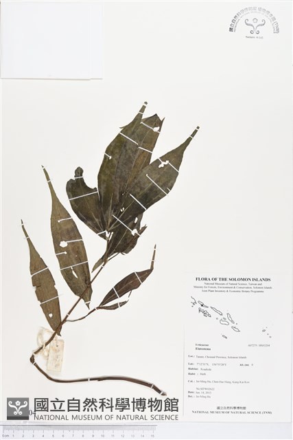 登錄號:BS03204藏品圖，第1張
