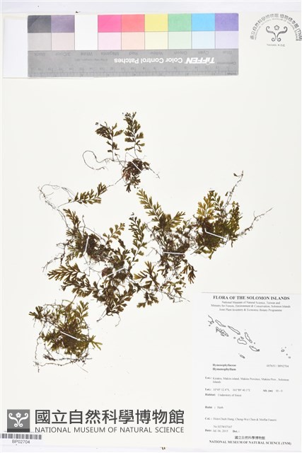 登錄號:BP02704藏品圖，第1張