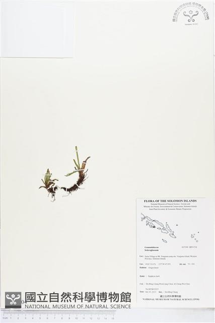 登錄號:BP01704藏品圖，第1張