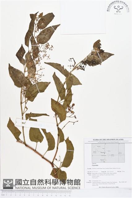 登錄號:BS01704藏品圖，第1張