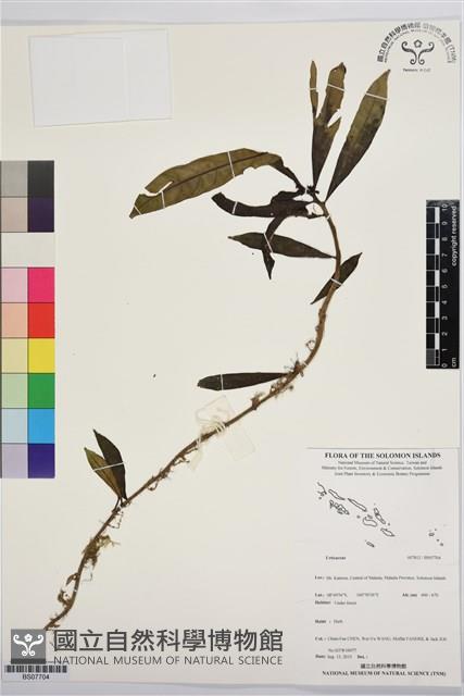 登錄號:BS07704藏品圖，第1張