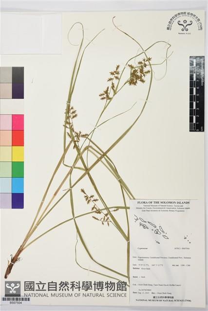 登錄號:BS07504藏品圖，第1張