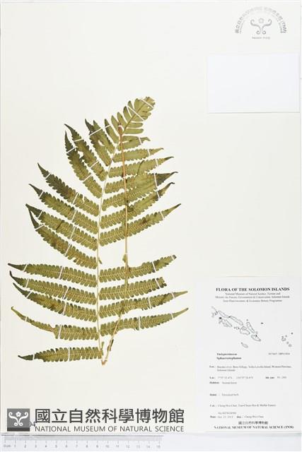 登錄號:BP01904藏品圖，第1張