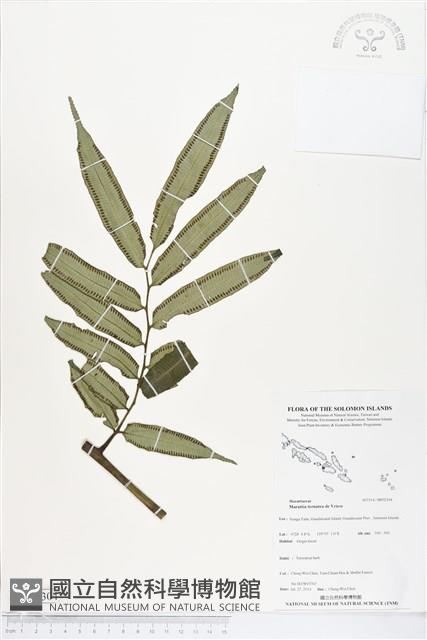 登錄號:BP02304藏品圖，第1張