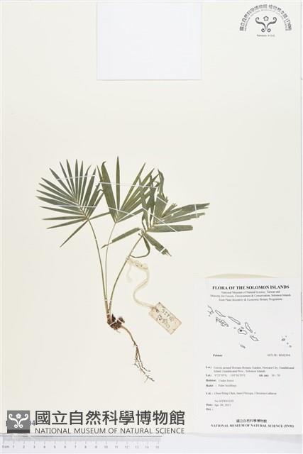 登錄號:BS02304藏品圖，第1張